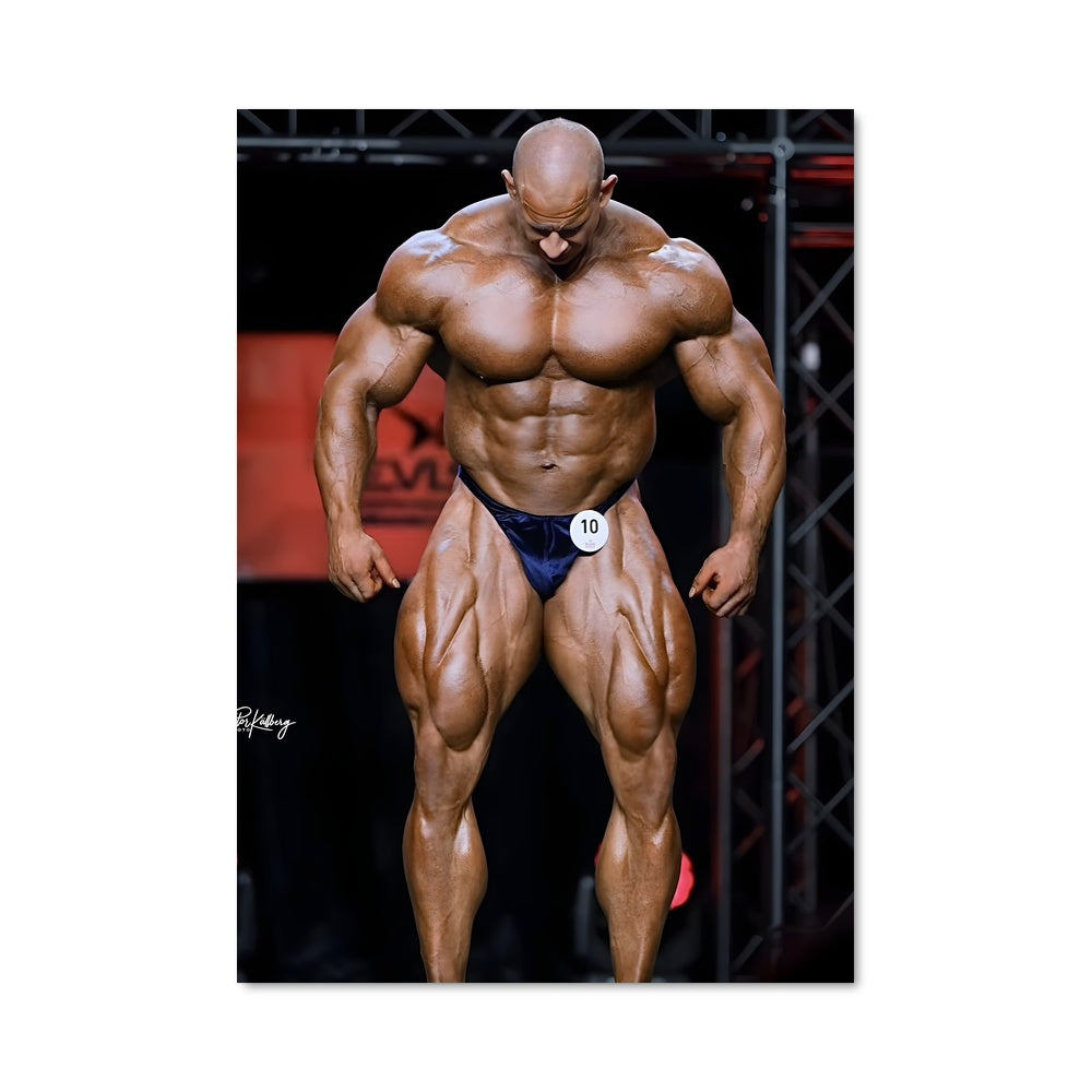 Poster Michal krizo 64898