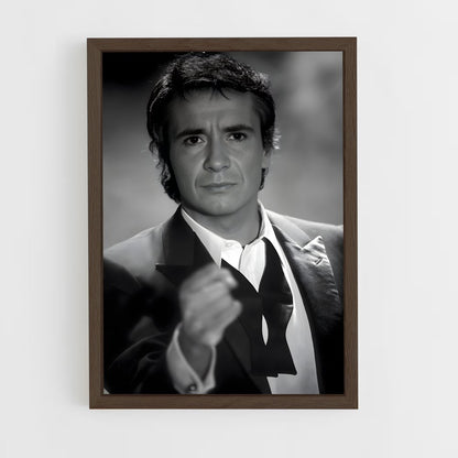 ap-michel sardou-2 cadre Bois foncé