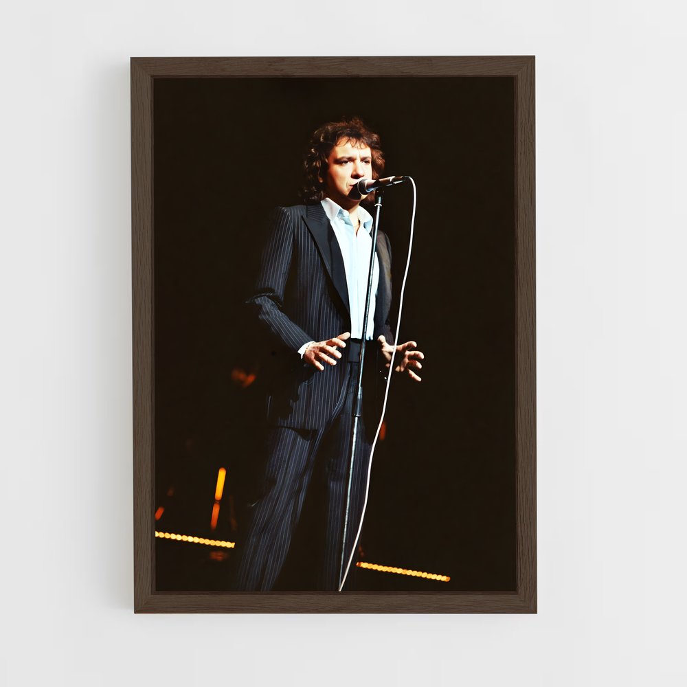 ap-michel sardou-4 cadre Bois foncé