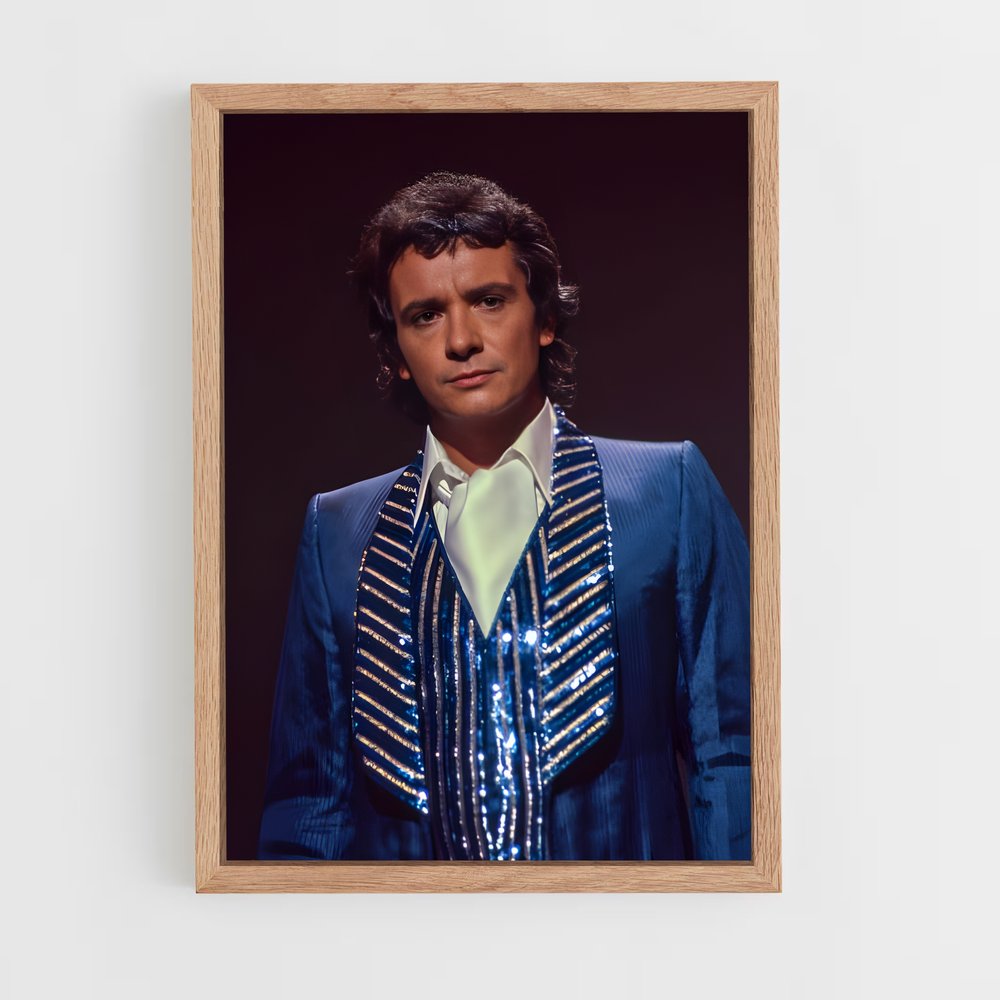 ap-michel sardou-5 cadre Bois clair