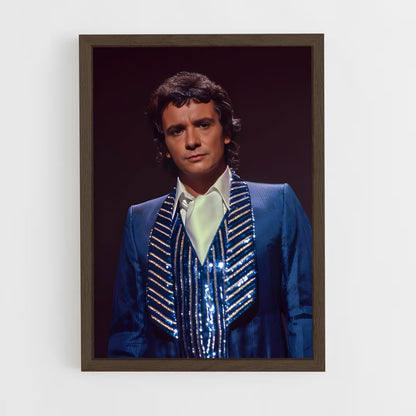 ap-michel sardou-5 cadre Bois foncé