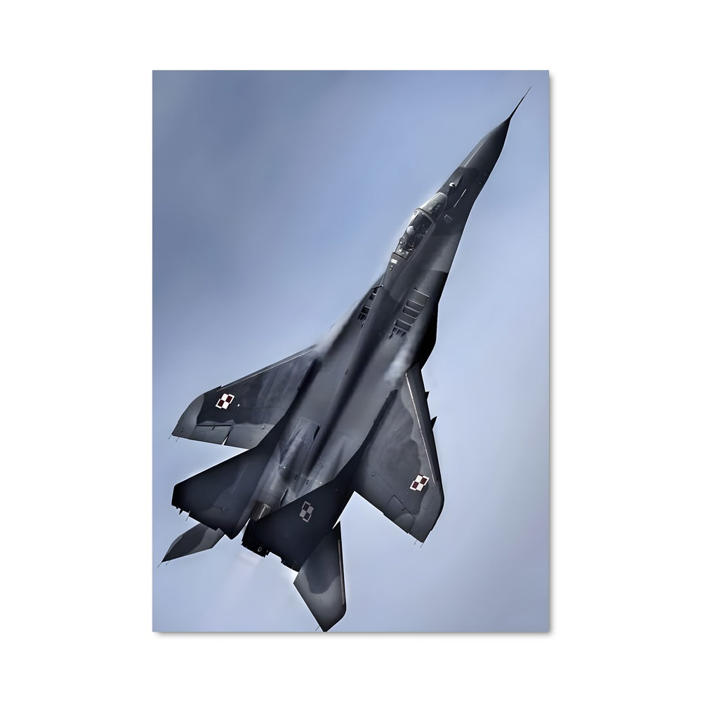 Poster Air Dominance