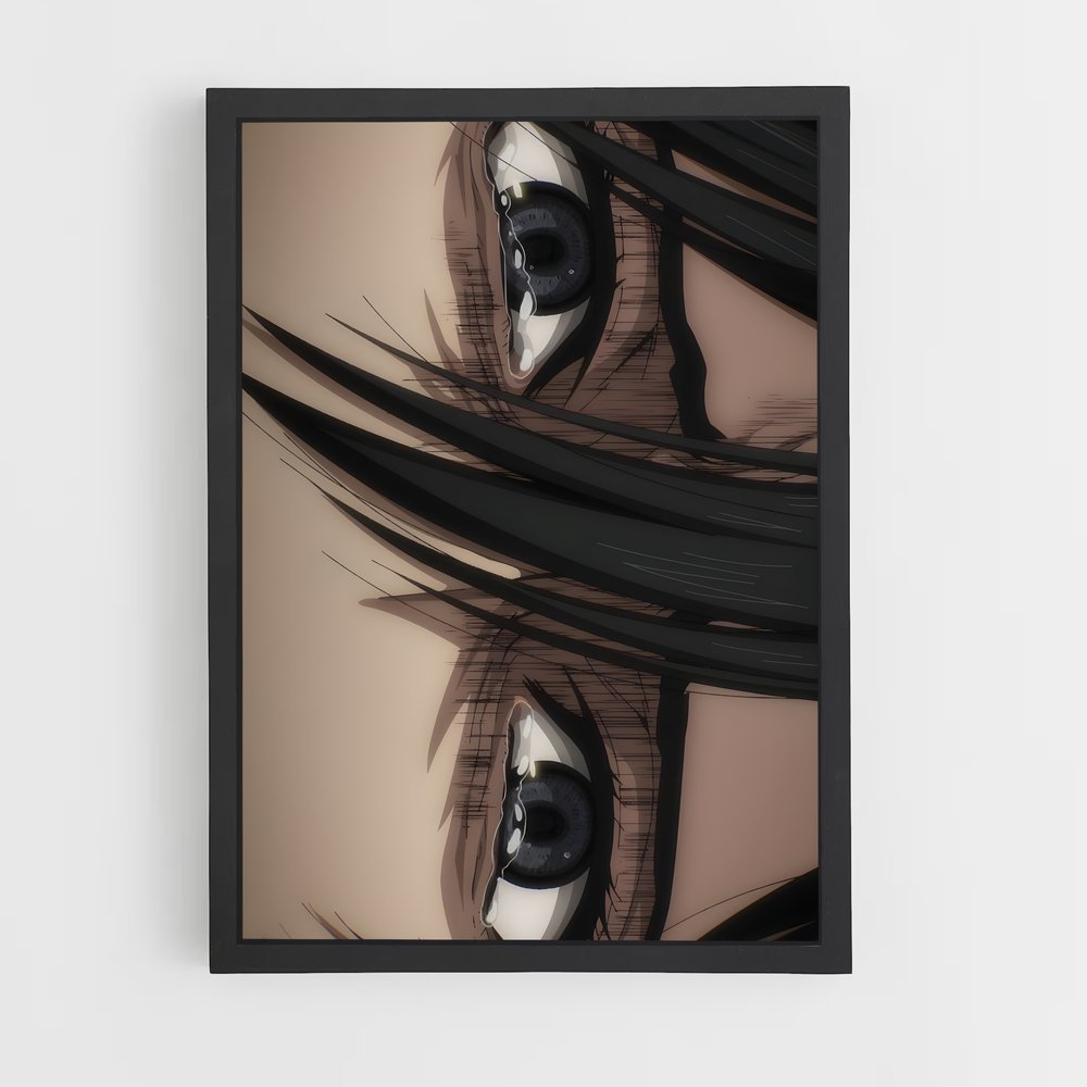 ap-mikasa ackerman-4 cadre Noir
