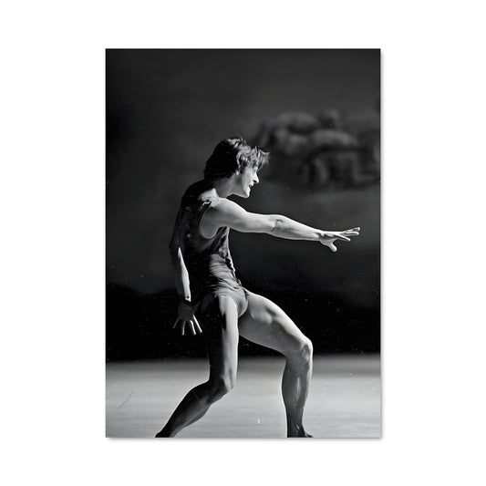 Poster Mikhail baryshnikov 65636