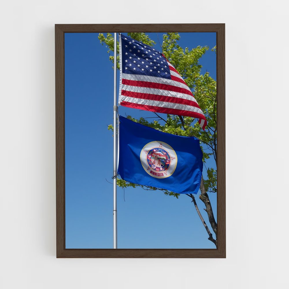 ap-minnesota flag-1 cadre Bois foncé