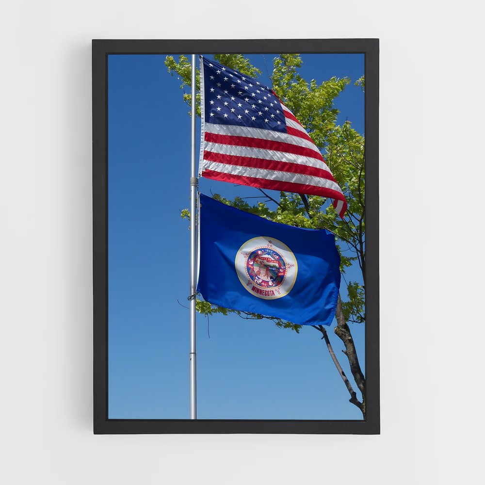 ap-minnesota flag-1 cadre Noir