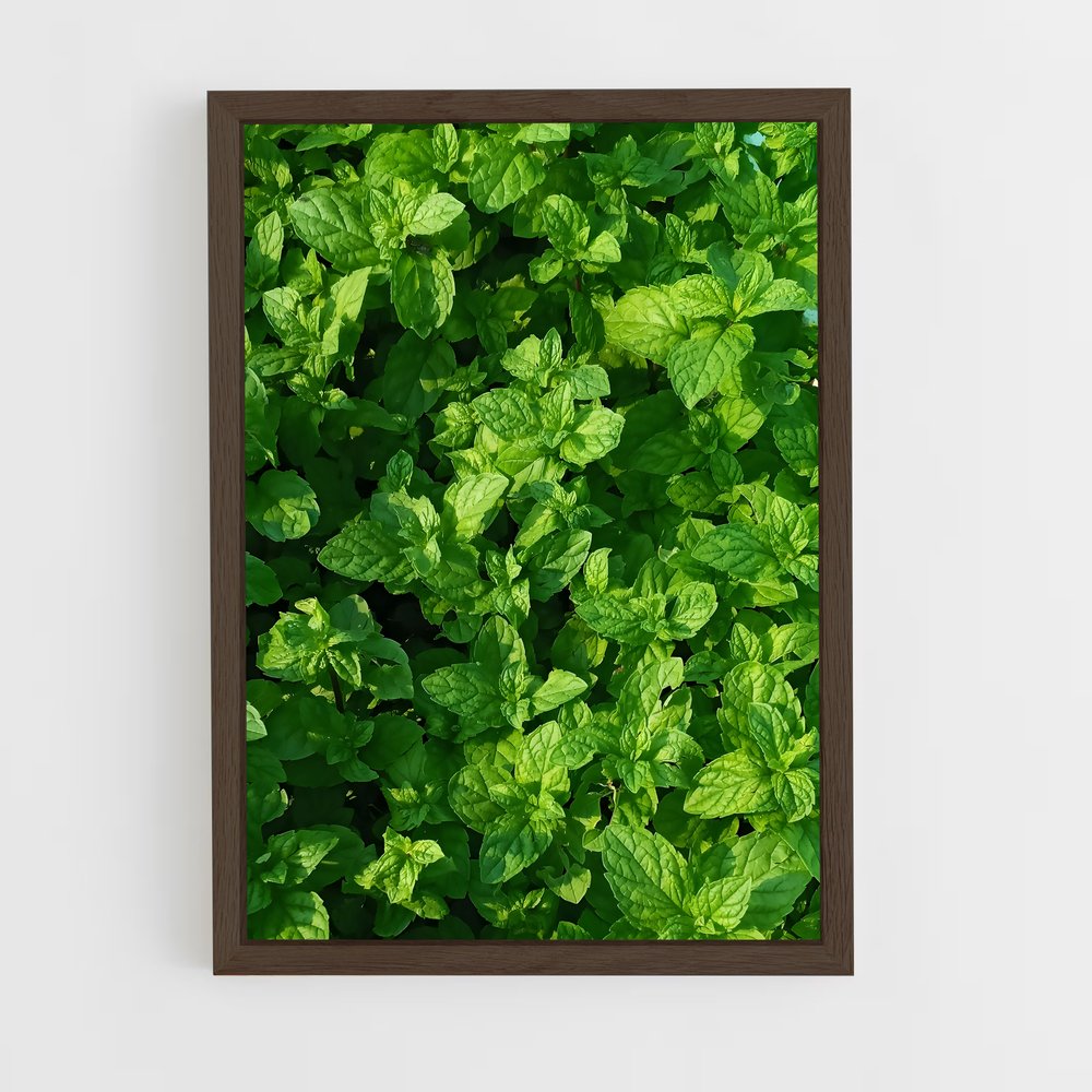 ap-mint-3 cadre Bois foncé
