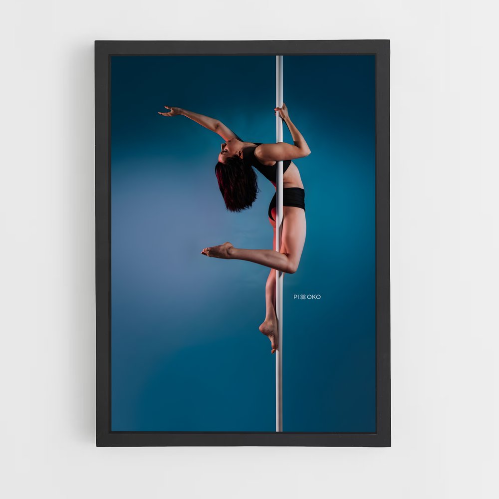 ap-miss pole dance world-4 cadre Noir