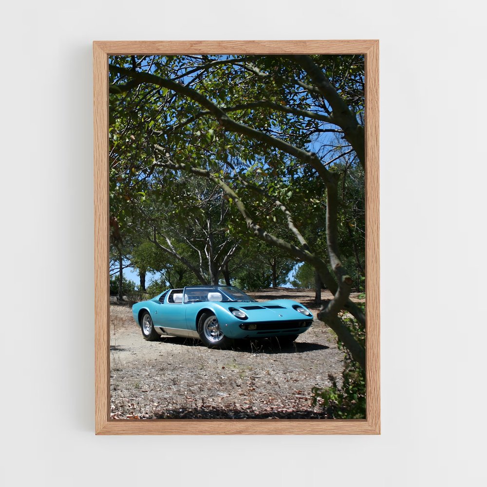 ap-miura roadster-1 cadre Bois clair