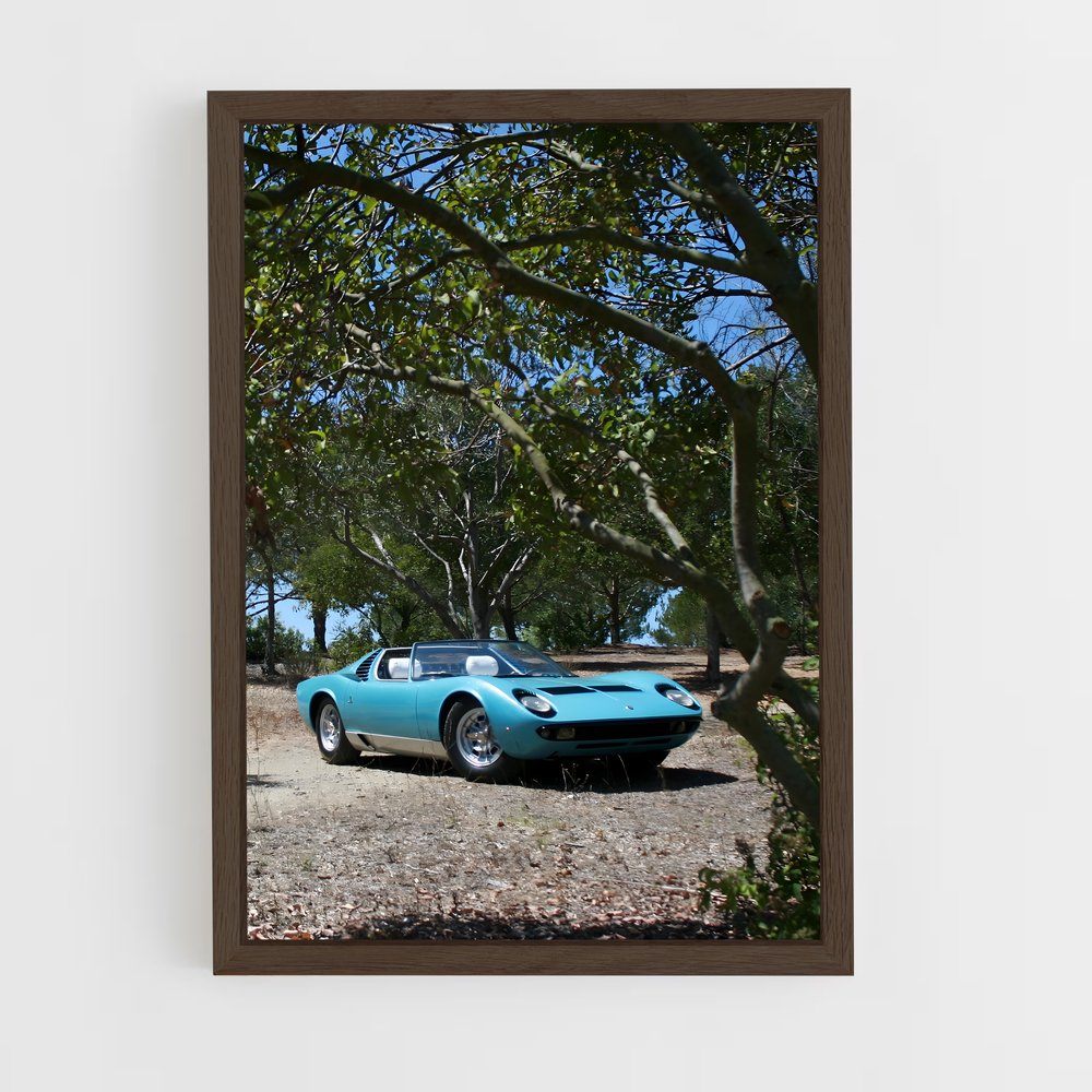 ap-miura roadster-1 cadre Bois foncé