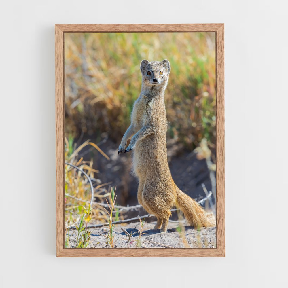 ap-mongoose-2 cadre Bois clair