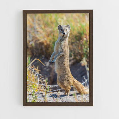 ap-mongoose-2 cadre Bois foncé