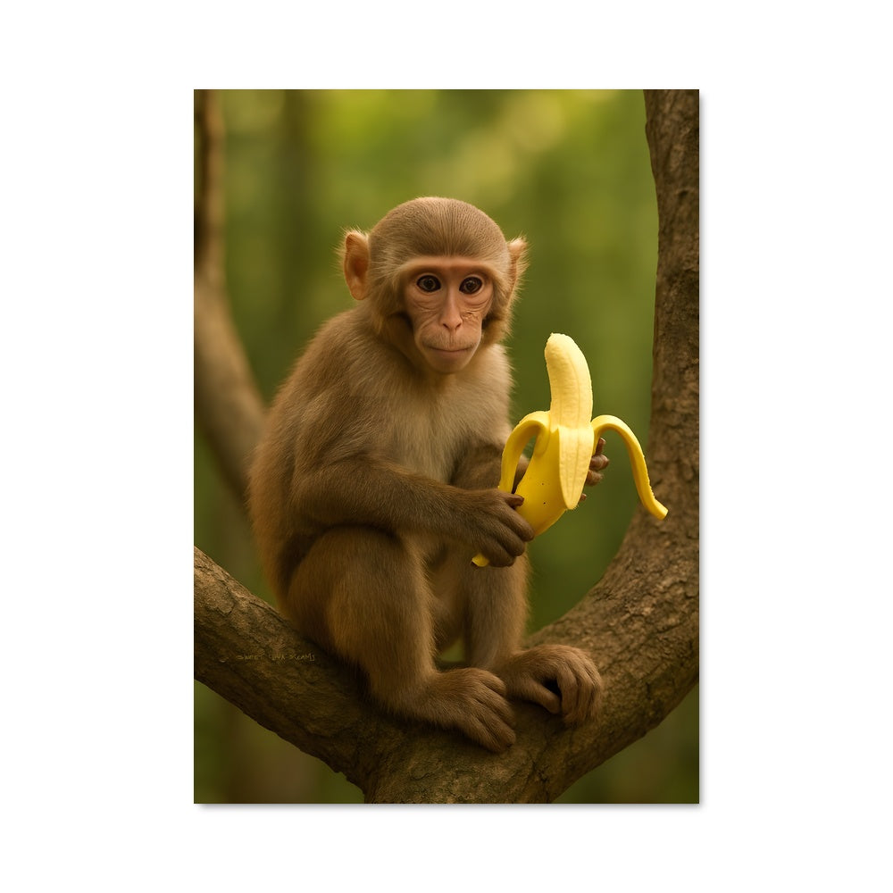 Poster Banane et Singe