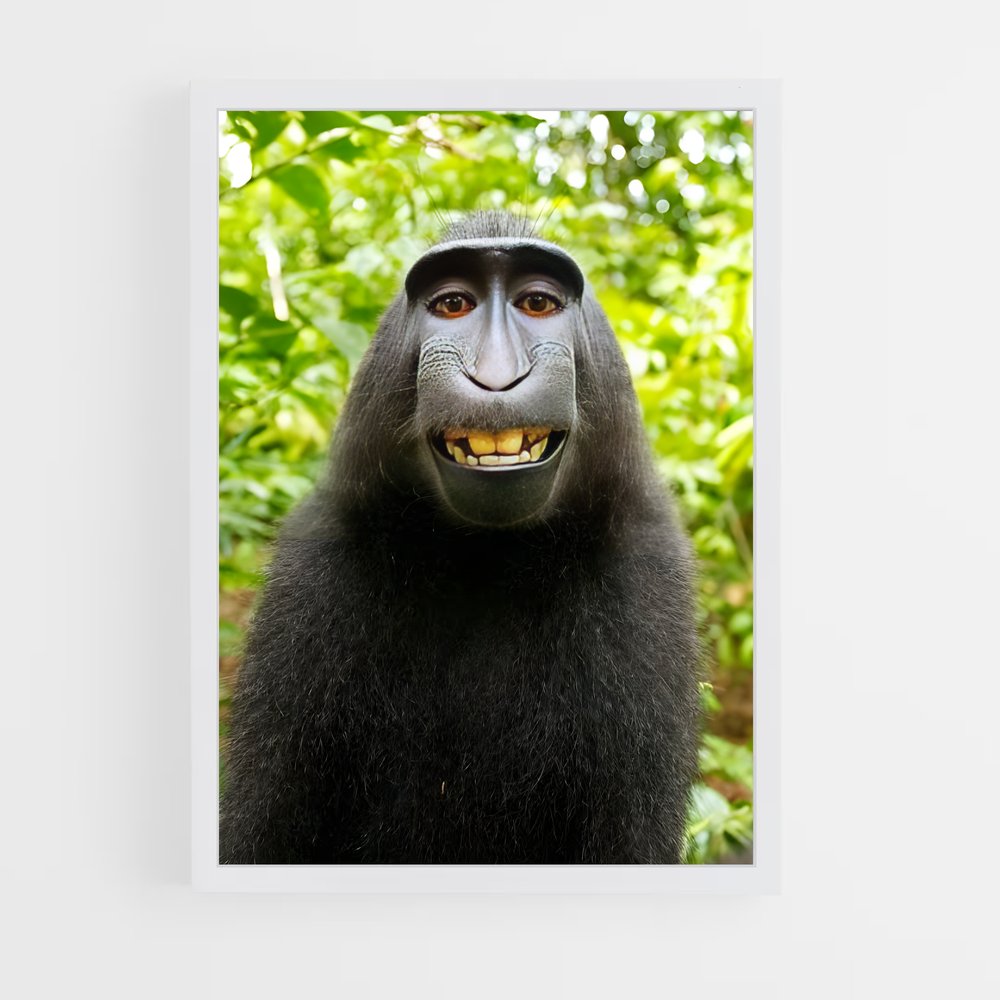 ap-monkey-2 cadre Blanc