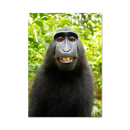 Poster Monkey 83983