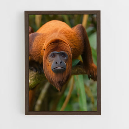 ap-monkey-5 cadre Bois foncé