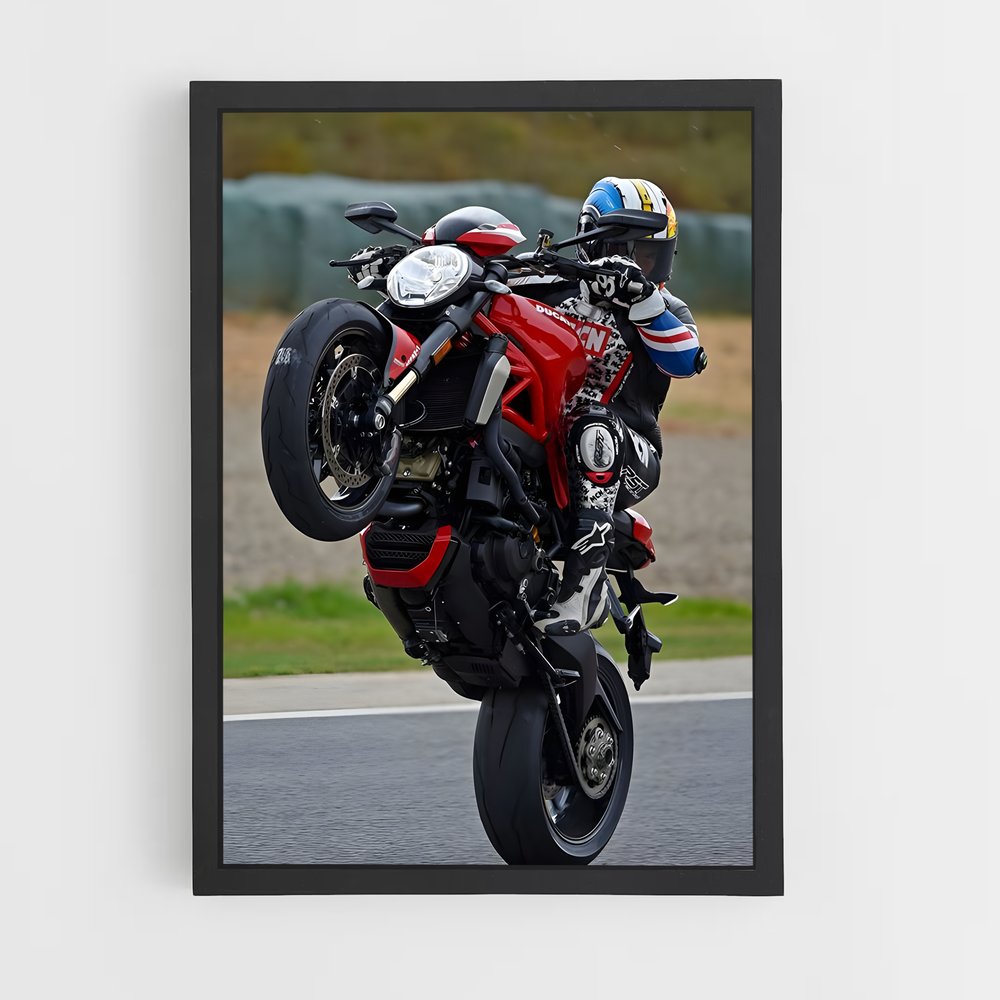 ap-monster 1200-1 cadre Noir