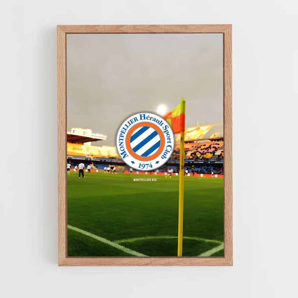 ap-montpellier hsc-4 cadre Bois clair