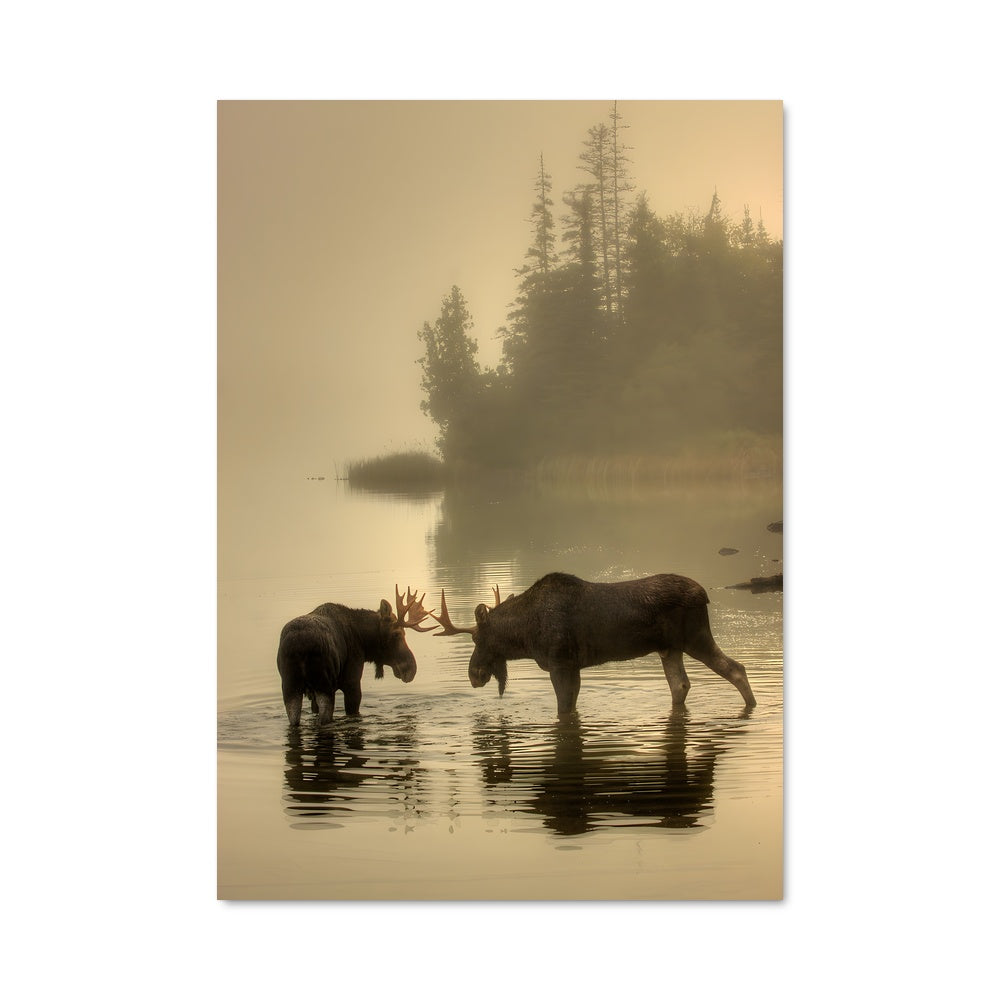 Poster Duo des Rivières