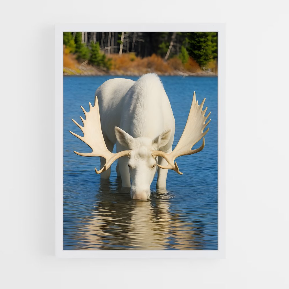 ap-moose-3 cadre Blanc