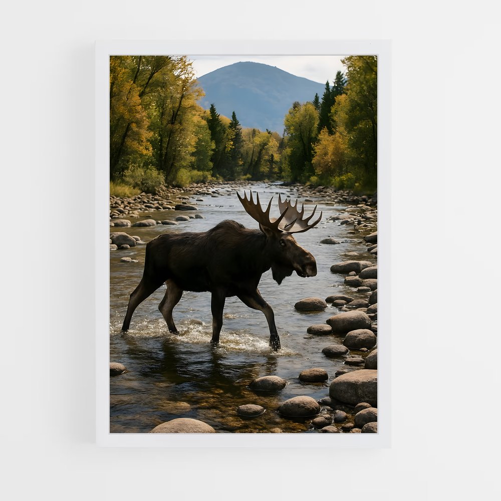 ap-moose-5 cadre Blanc