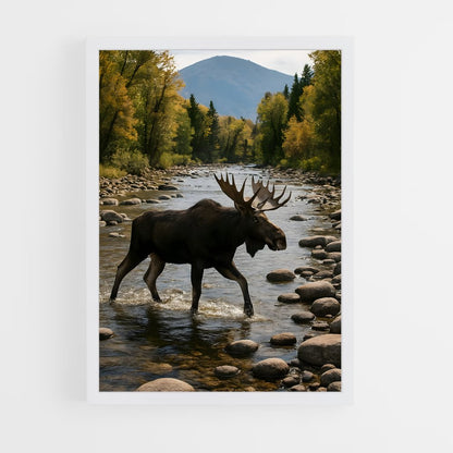 ap-moose-5 cadre Blanc
