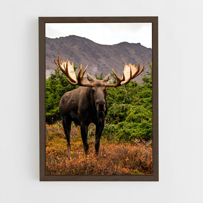 ap-moose-7 cadre Bois foncé