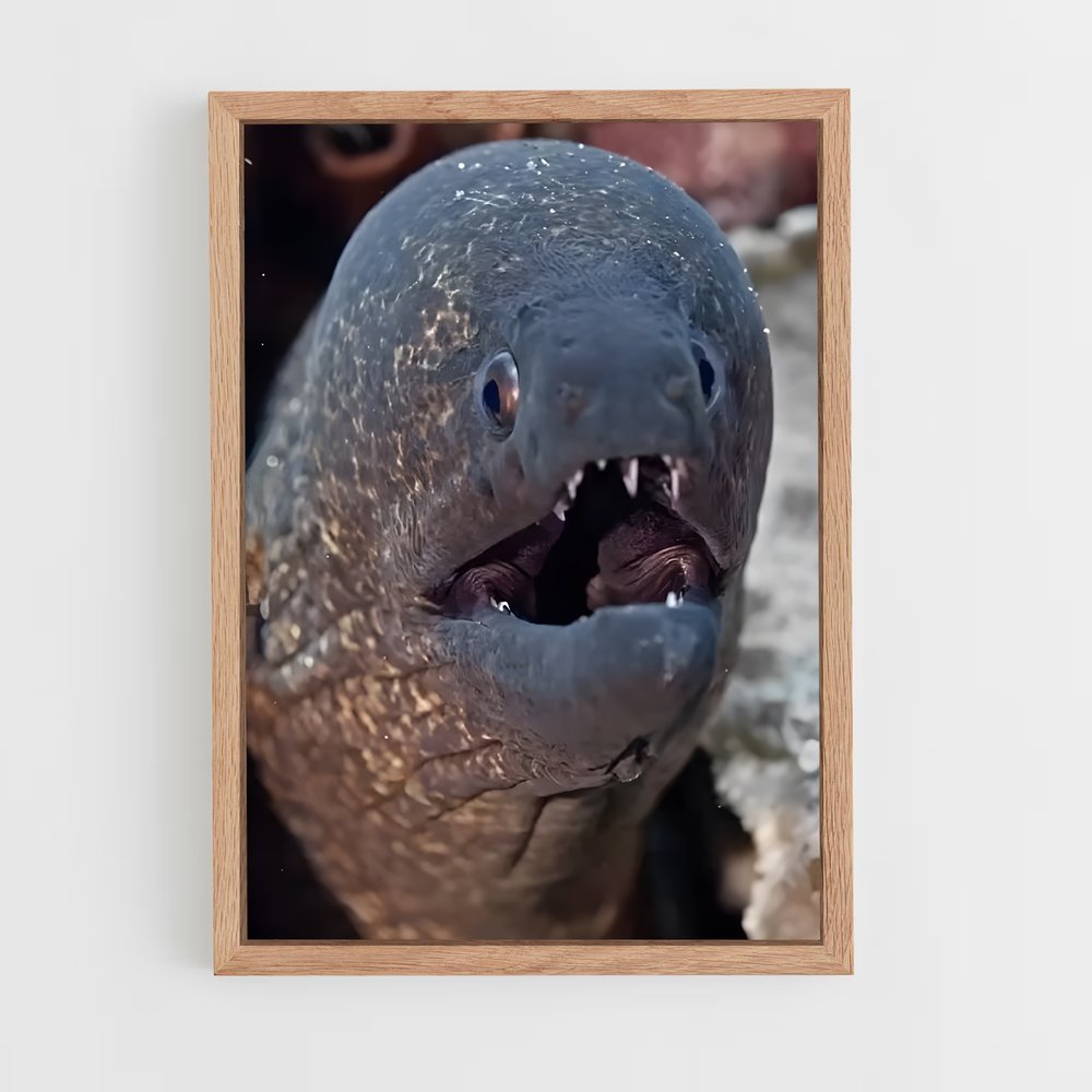 ap-moray eel-3 cadre Bois clair