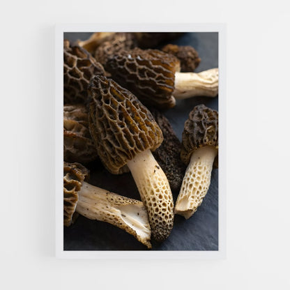 ap-morel-1 cadre Blanc