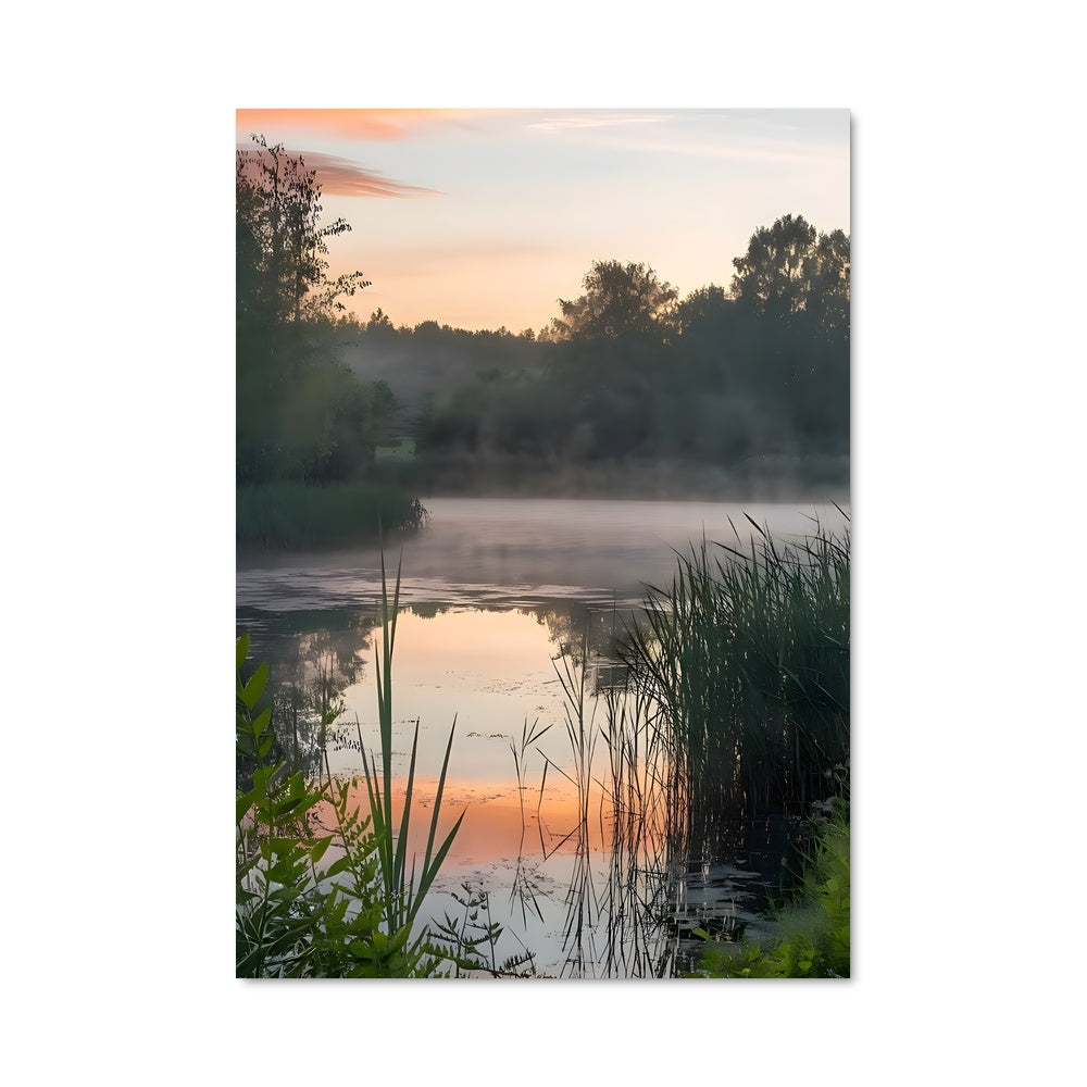 Poster Brume Matinale