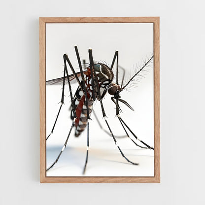 ap-mosquito-1 cadre Bois clair