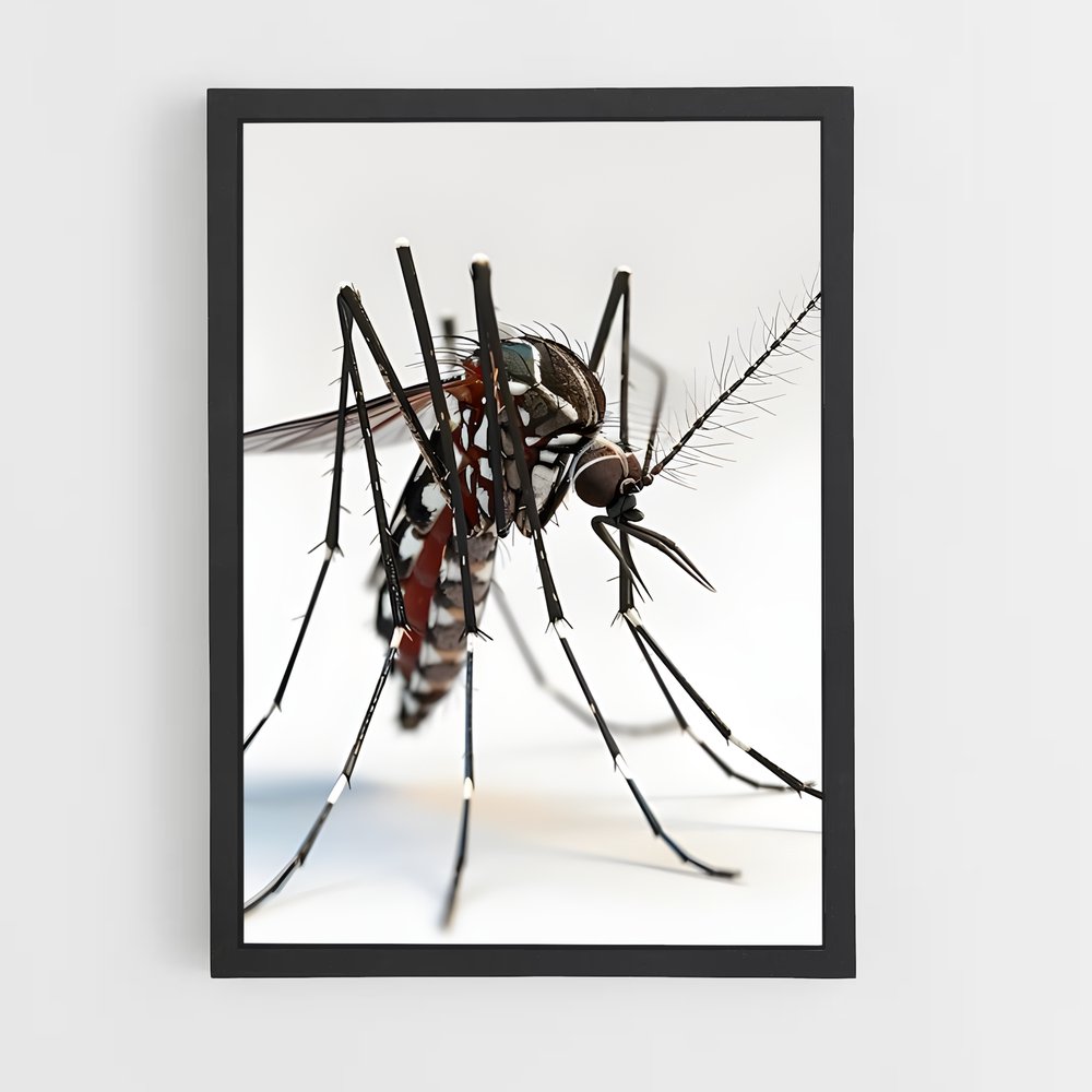 ap-mosquito-1 cadre Noir