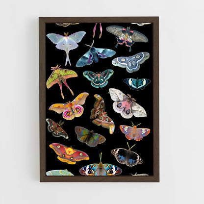 ap-moth-2 cadre Bois foncé
