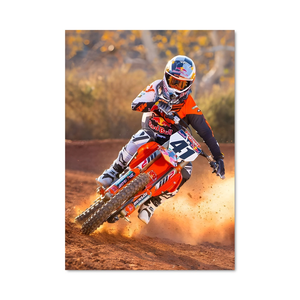 Poster Rides Sauvages