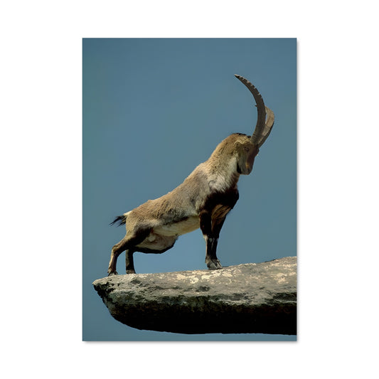 Poster La Montagne Enchantée