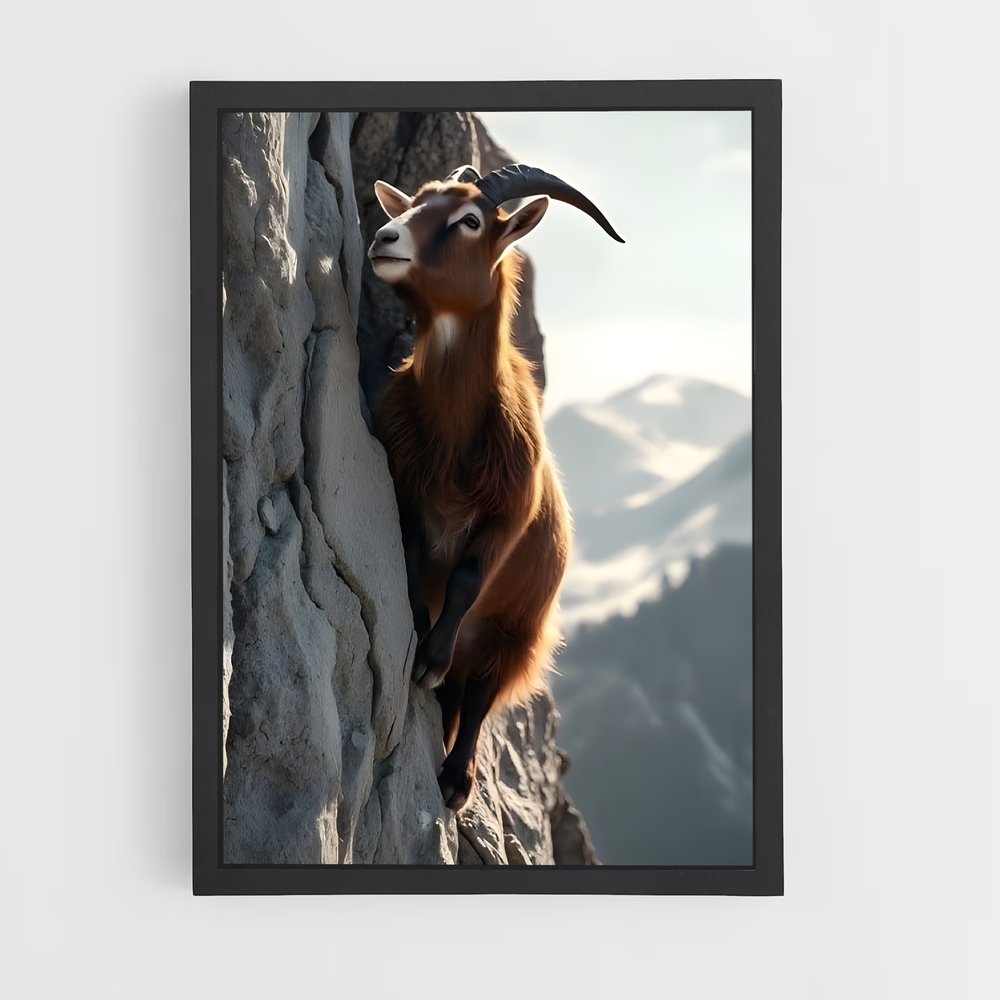 ap-mountain goat-11 cadre Noir