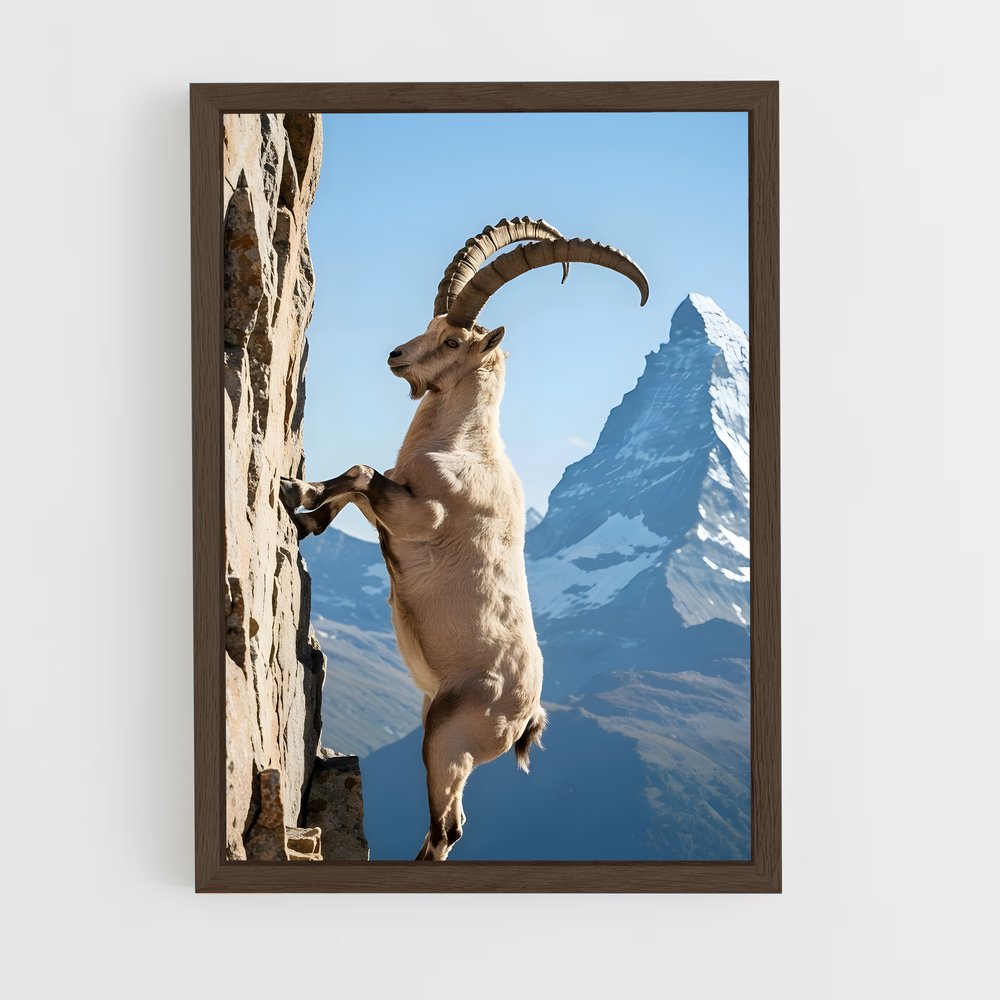 ap-mountain goat-6 cadre Bois foncé
