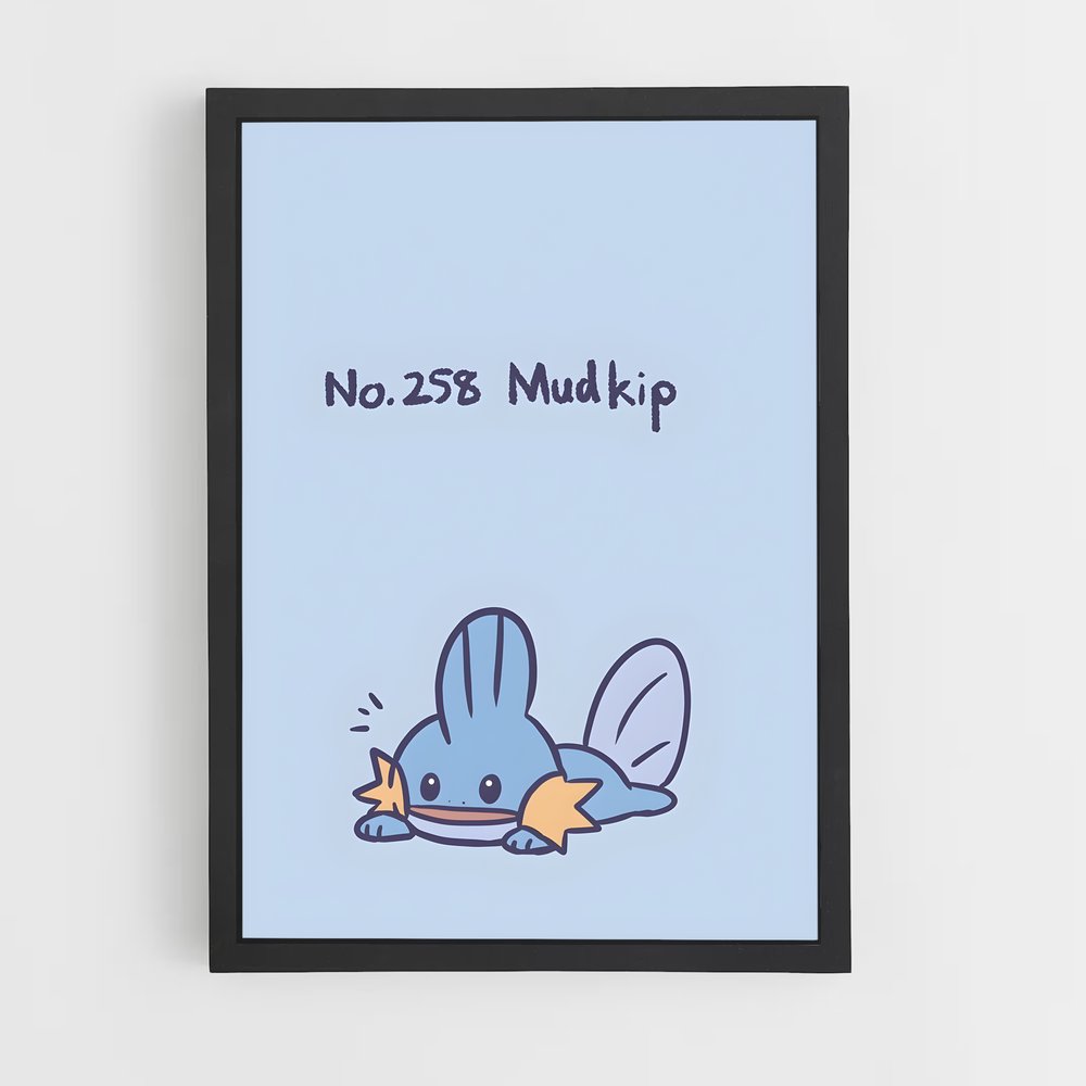 ap-mudkip-1 cadre Noir