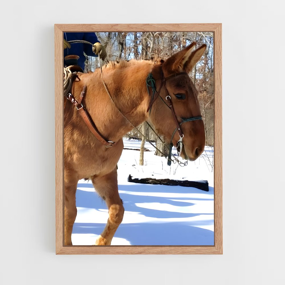 ap-mule-3 cadre Bois clair