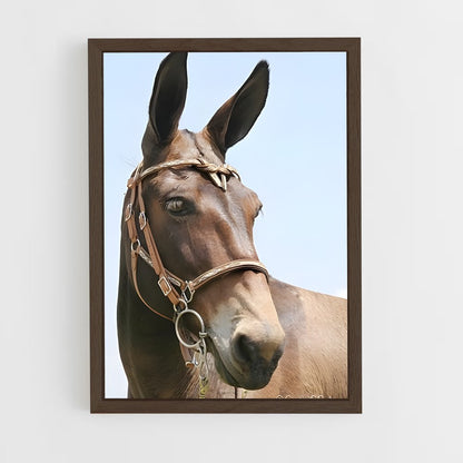 ap-mule-4 cadre Bois foncé
