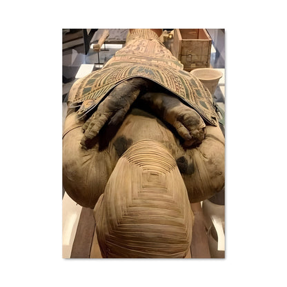 Poster La Tortue Éternelle