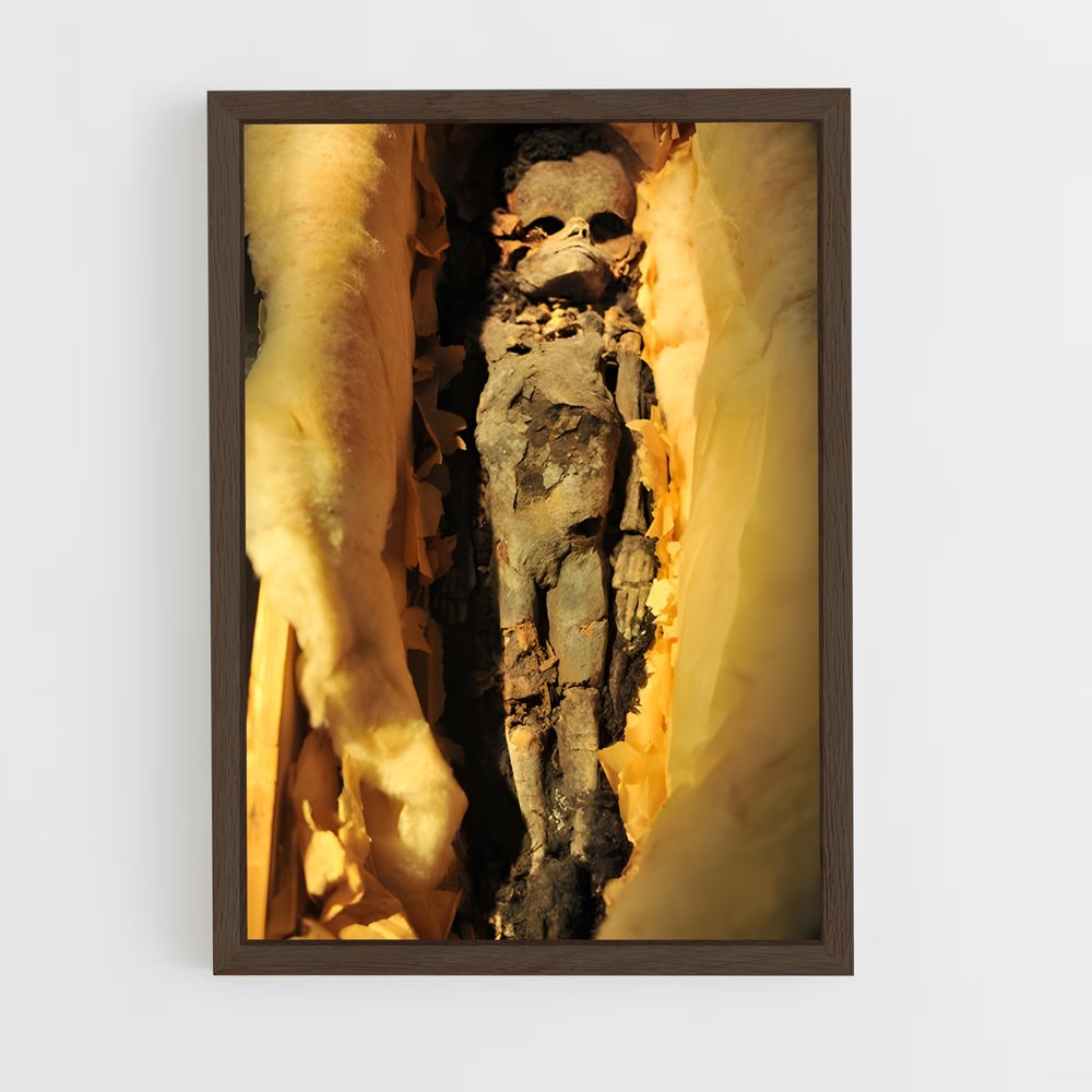 ap-mummy-6 cadre Bois foncé