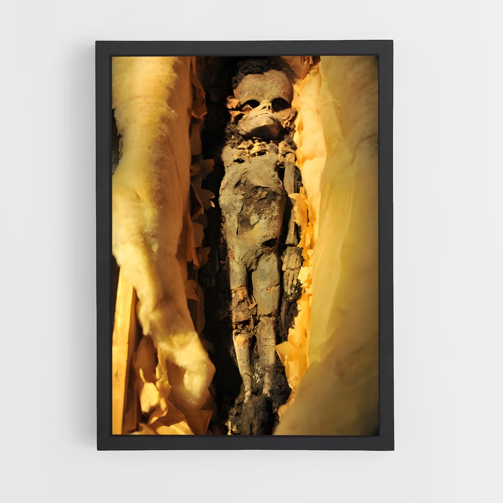 ap-mummy-6 cadre Noir