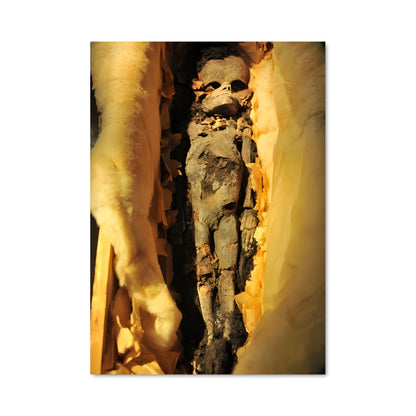 Poster Essence de Bois