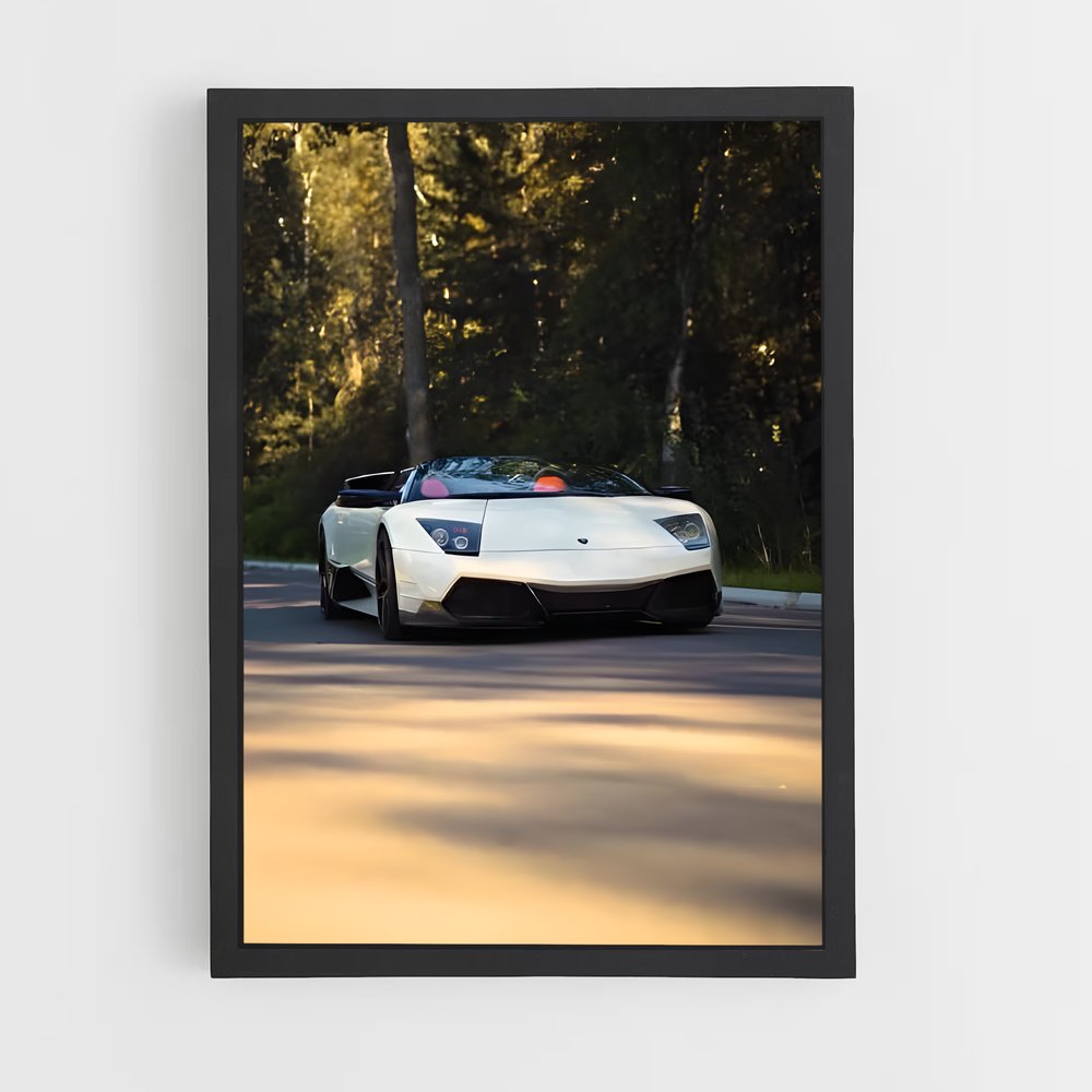 ap-murcielago roadster-1 cadre Noir