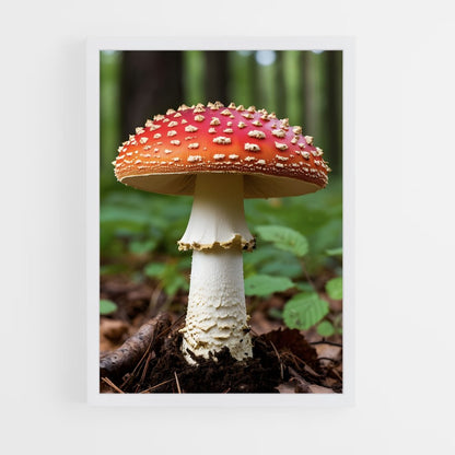 ap-mushroom-2 cadre Blanc