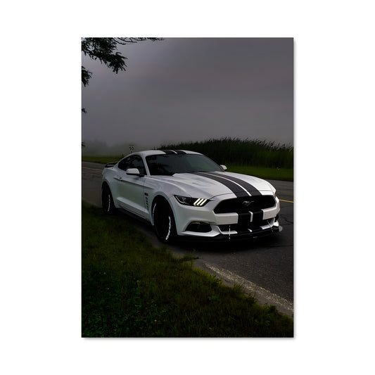 Poster Mustang Éléphant Blanc