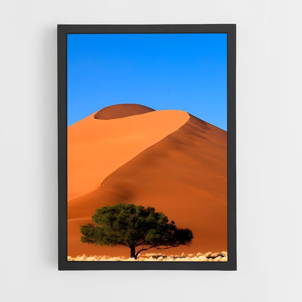 ap-namibian desert-1 cadre Noir