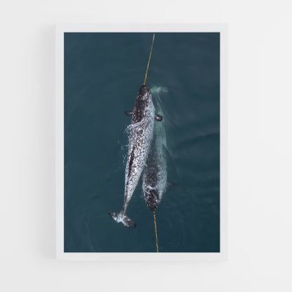 ap-narwhal-3 cadre Blanc