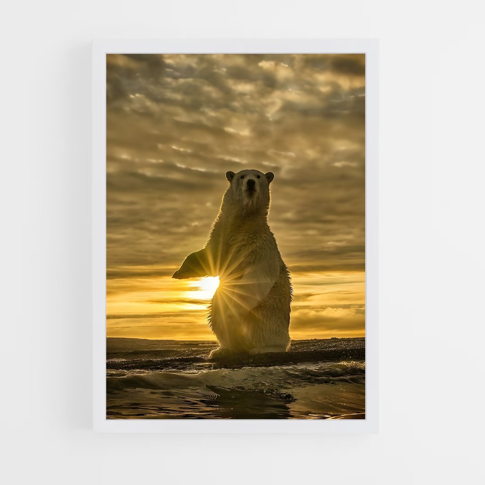 ap-national geographic-4 cadre Blanc